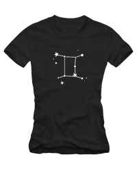 Zodiakas Dvyniai